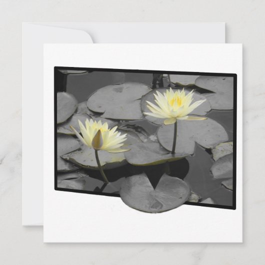 フレームフラットカードの向こうの開花 (正面)