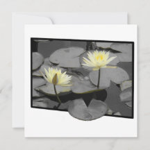 フレームフラットカードの向こうの開花