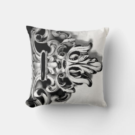 フレームフランスの クッション (正面)