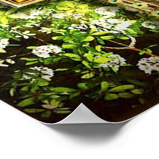 フレームポスターの孔雀14.95 ポスター (角)