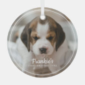 フレームモダンペットの初めてのクリスマスフォトオーナメント ガラスオーナメント (正面)