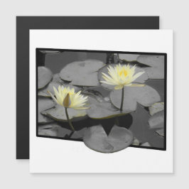 フレーム磁気カードの向こうの開花