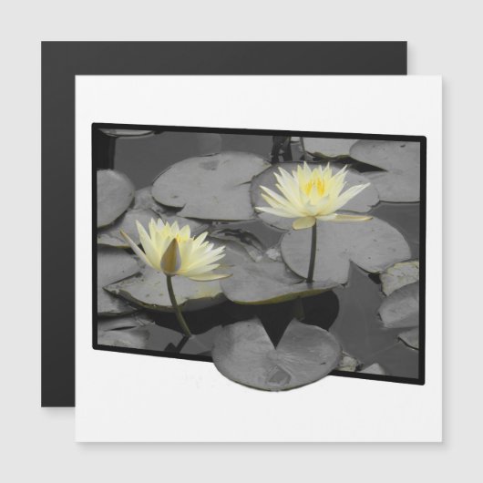 フレーム磁気カードの向こうの開花 (正面/裏面)