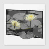 フレーム磁気カードの向こうの開花 (正面)