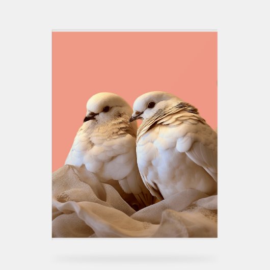 フレーム アクリルサイン (正面)