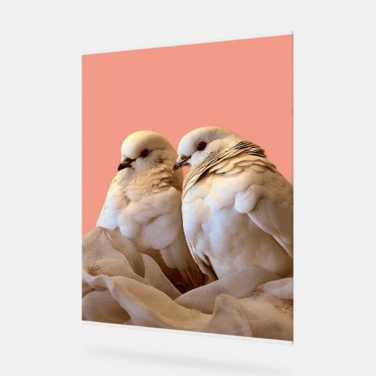 フレーム アクリルサイン (傾斜)