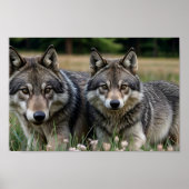 フレームTVアート ポスター (正面)