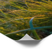 フレームTVサムスン ポスター (角)