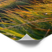 フレームTVサムスン ポスター (角)