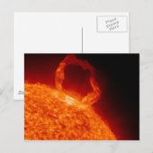 フレー太陽のア ポストカード (正面/裏面)