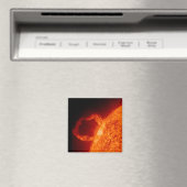 フレー太陽のア マグネット (インサイチュ (食洗機))