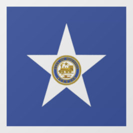 フロアデカールとヒューストン州旗，テキサス州，米国 フロアシール