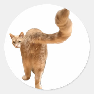 フロイドお尻ステッカー – 顔! ラウンドシール