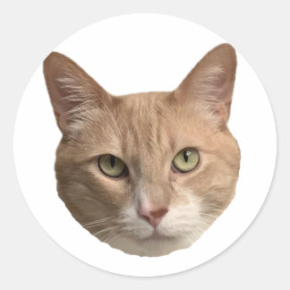 フロイドのステッカー！ ラウンドシール