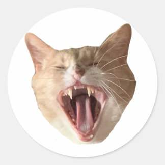 フロイドのステッカー – 口を開けて！ ラウンドシール