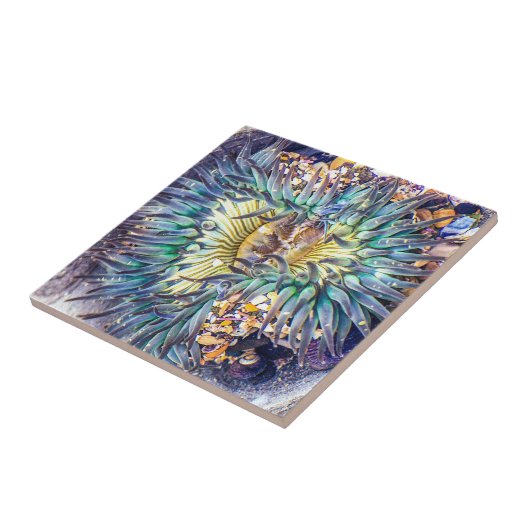 フロエリーアクア&イエローシーアネモネインザウォーター タイル (側面)