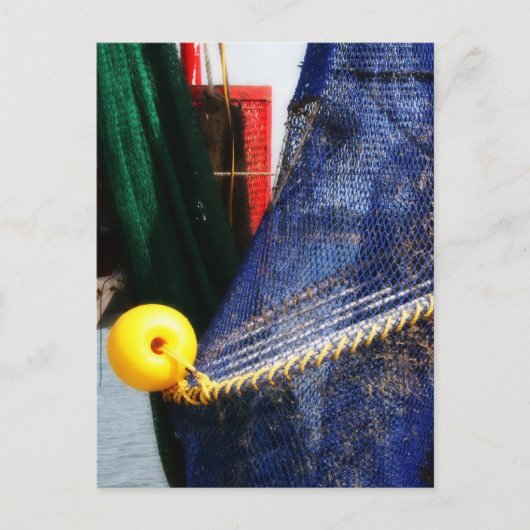 フロカラフルリダ州の魚釣り網と山車のひねり ポストカード (正面)