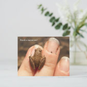 フロギーハンド ポストカード (スタンド正面)