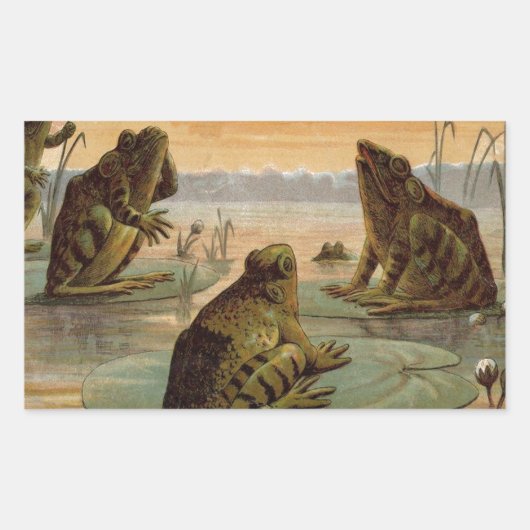 フログスリリパッドムーンイラストレーション 長方形シール (正面)