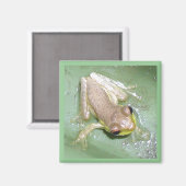 フログレット マグネット (正面/裏面)