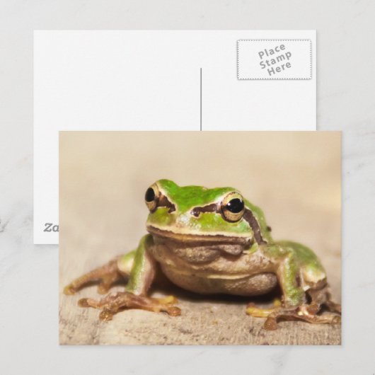 フロシュ ポストカード (正面/裏面)