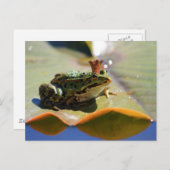 フロスケニヒ ポストカード (正面/裏面)