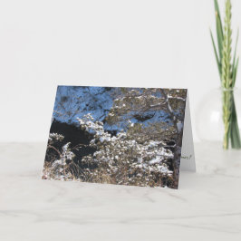 "フロスティー・パインズ" クリスマスカード カード