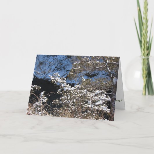 "フロスティー・パインズ" クリスマスカード カード (正面)