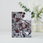 フロステッドベリーズルースアベ シーズンポストカード (スタンド正面)