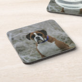 フロストに坐っているボクサー犬 コースター (左側)