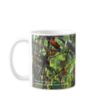 フロストの後の庭のシカ