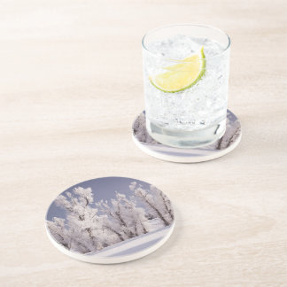 フロストは木および塀、コロラド州を覆いました コースター