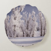 フロストは木および塀、コロラド州を覆いました ラウンドクッション (裏面)