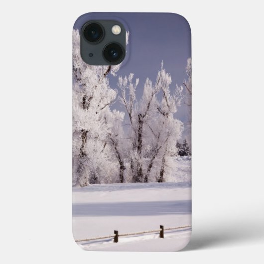 フロストは木および塀、コロラド州を覆いました Case-Mate iPhoneケース (裏面)
