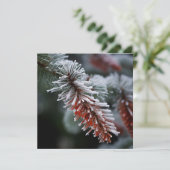 フロストエッジのフレーズ付き松の木のホリデーグリーティングカード シーズンカード (スタンド正面)