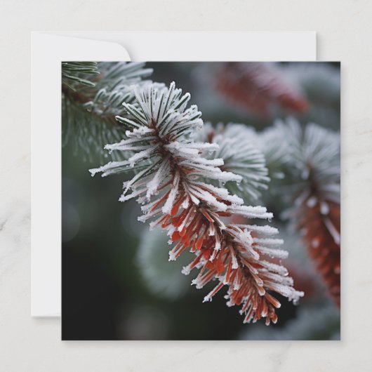 フロストエッジのフレーズ付き松の木のホリデーグリーティングカード シーズンカード (正面)