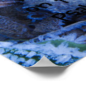 フロストオンリーフプリント付き/聖なる書物、 経典詩 ポスター (角)