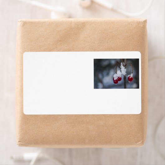 フロストベリー ラベル (インサイチュ)