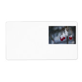 フロストベリー ラベル (正面)