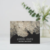 フロストワークで覆われたポップコーン、宝石の洞窟、SD ポストカード (スタンド正面)