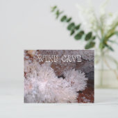 フロストワークとポップコーンのフォーメーション、風洞、SD ポストカード (スタンド正面)