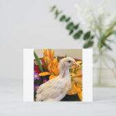 フロスト・ホワイト・レガバー ポストカード (スタンド正面)