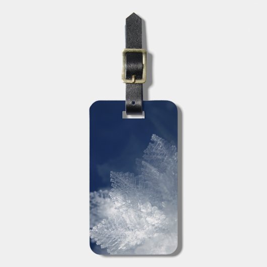 フロスト ラゲッジタグ (正面縦)