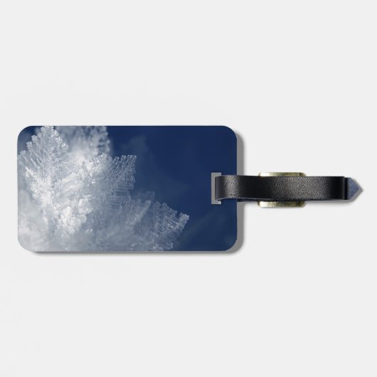 フロスト ラゲッジタグ (裏面横)