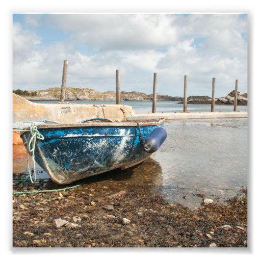 フロダベイ フォトプリント            (正面)