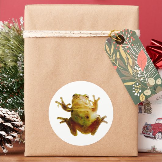 フロッおもしろいグギトワッド4フレッド ラウンドシール (クリスマス)