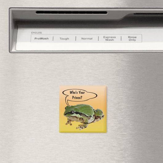 フロッおもしろいグプリンス写真パーソナライズされた マグネット (インサイチュ (食洗機))