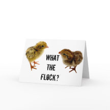 フロックって何だ？,ベビーウズラ・シック