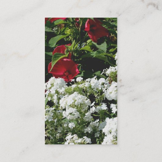 フロックスハイビスカスフラワーガーデン自然 名刺 (裏面)