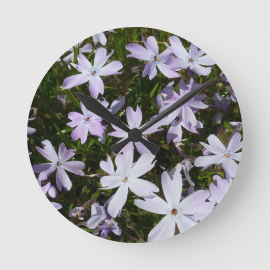 フロックス属の花 ラウンド壁時計 (正面)
